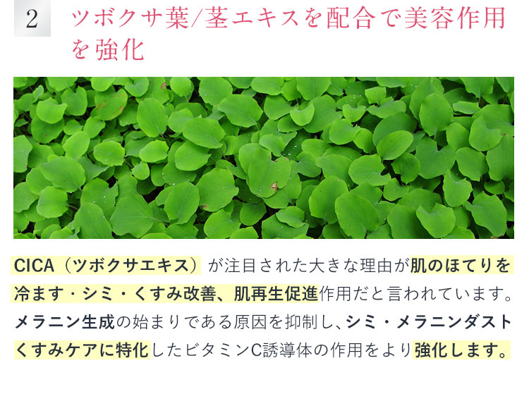VITA DROP ピースオブシャイン株式会社 Peaceofshine Co.,Ltd